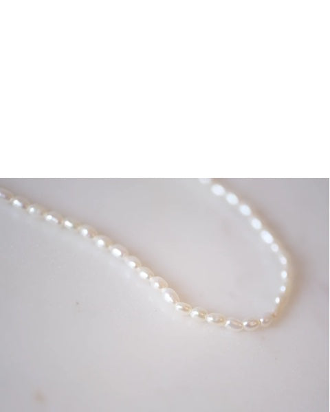 Pearl Rice Bracelet 7"
