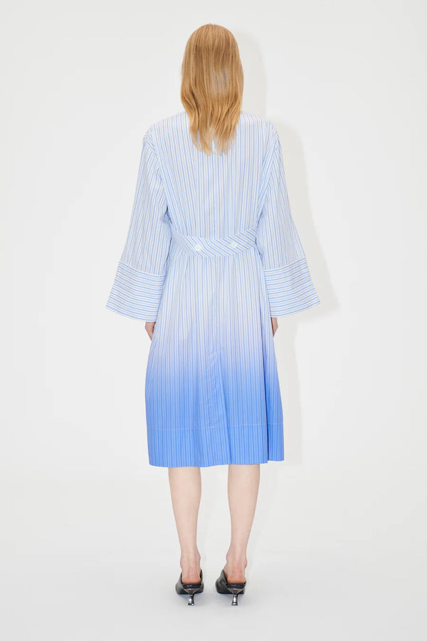 Rionna Dress
