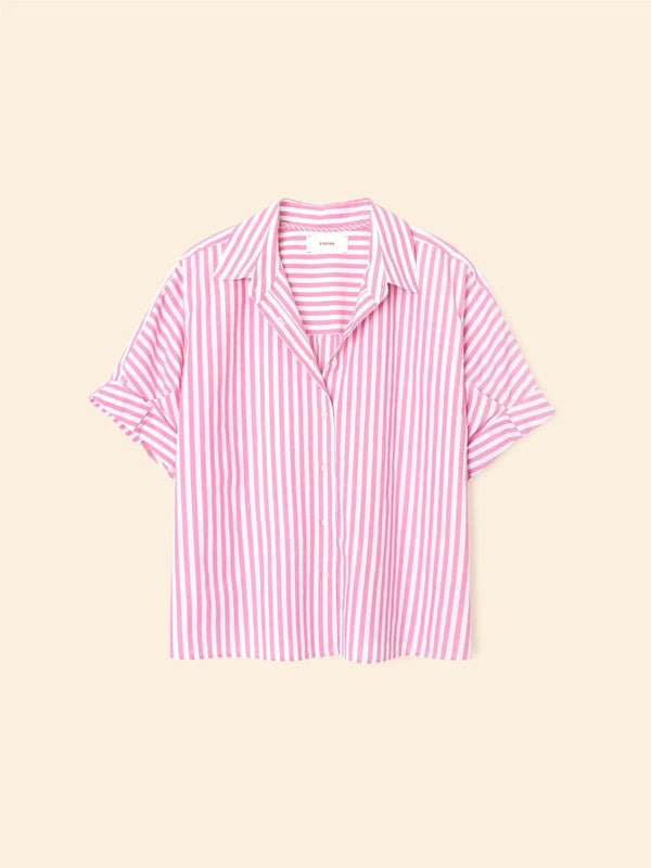 Teddy Shirt Rosebud