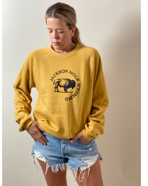 Bison Swt